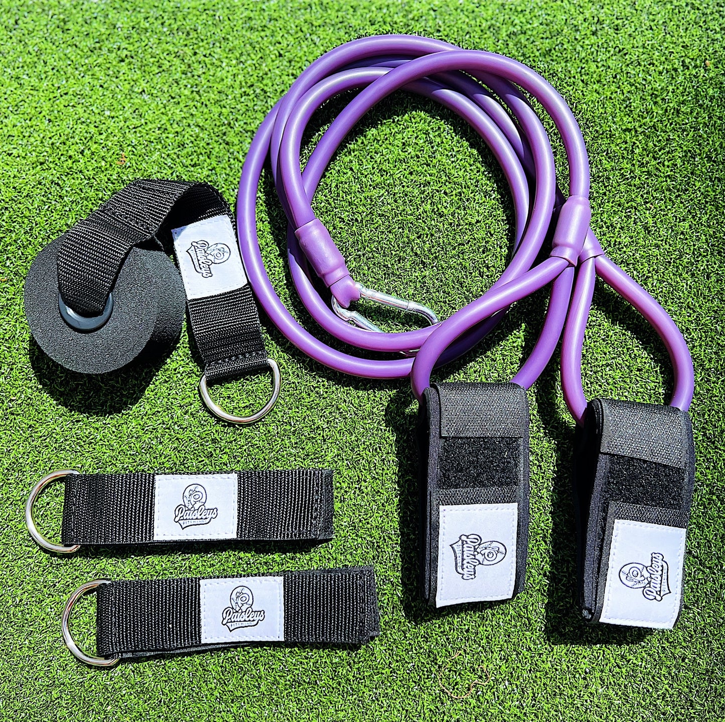 Players Bands