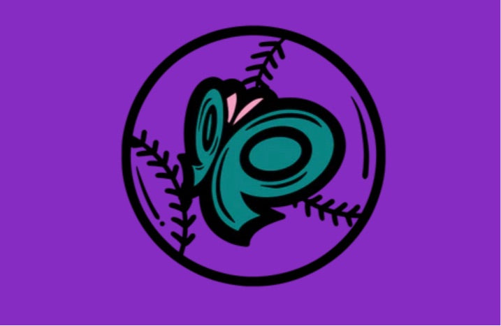 Give a Gift ❤️🥎