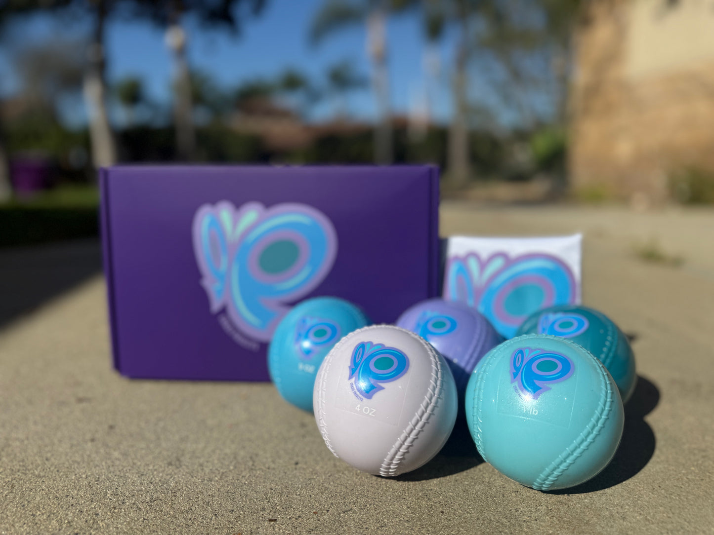 Crazii Paisleys “Stray Catz” 🐈‍⬛💜🩵