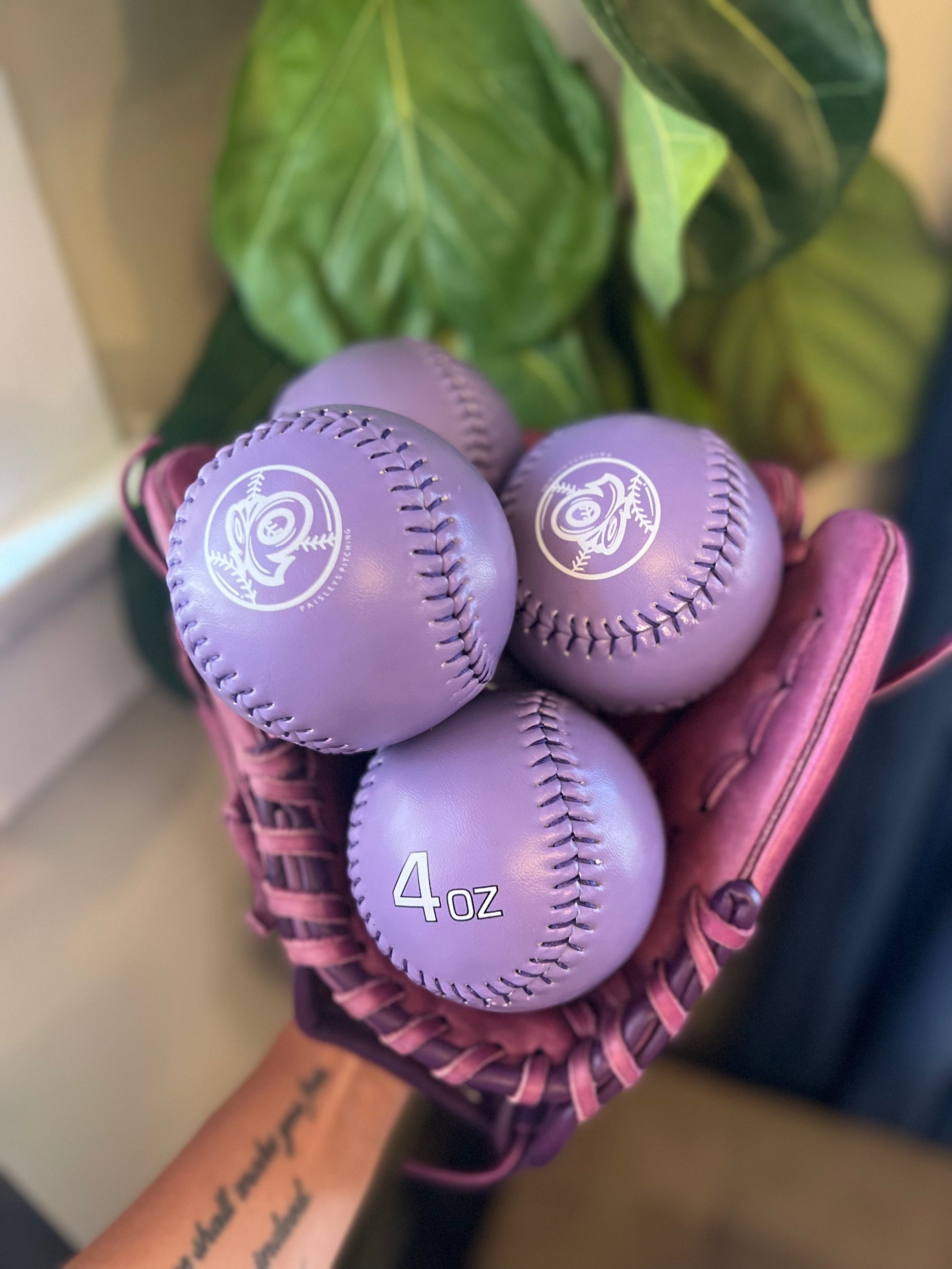 Rollies (5 Training Balls)